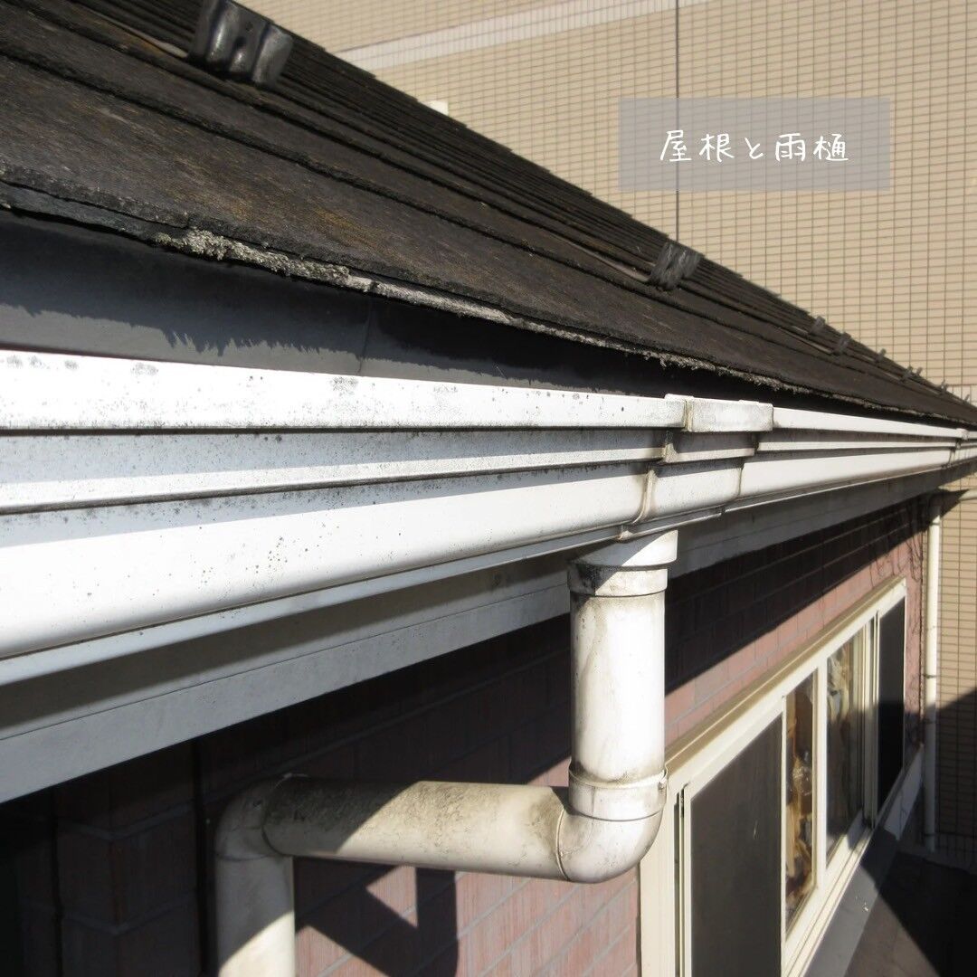 LINE_ALBUM_児玉邸 Part2_231201_4