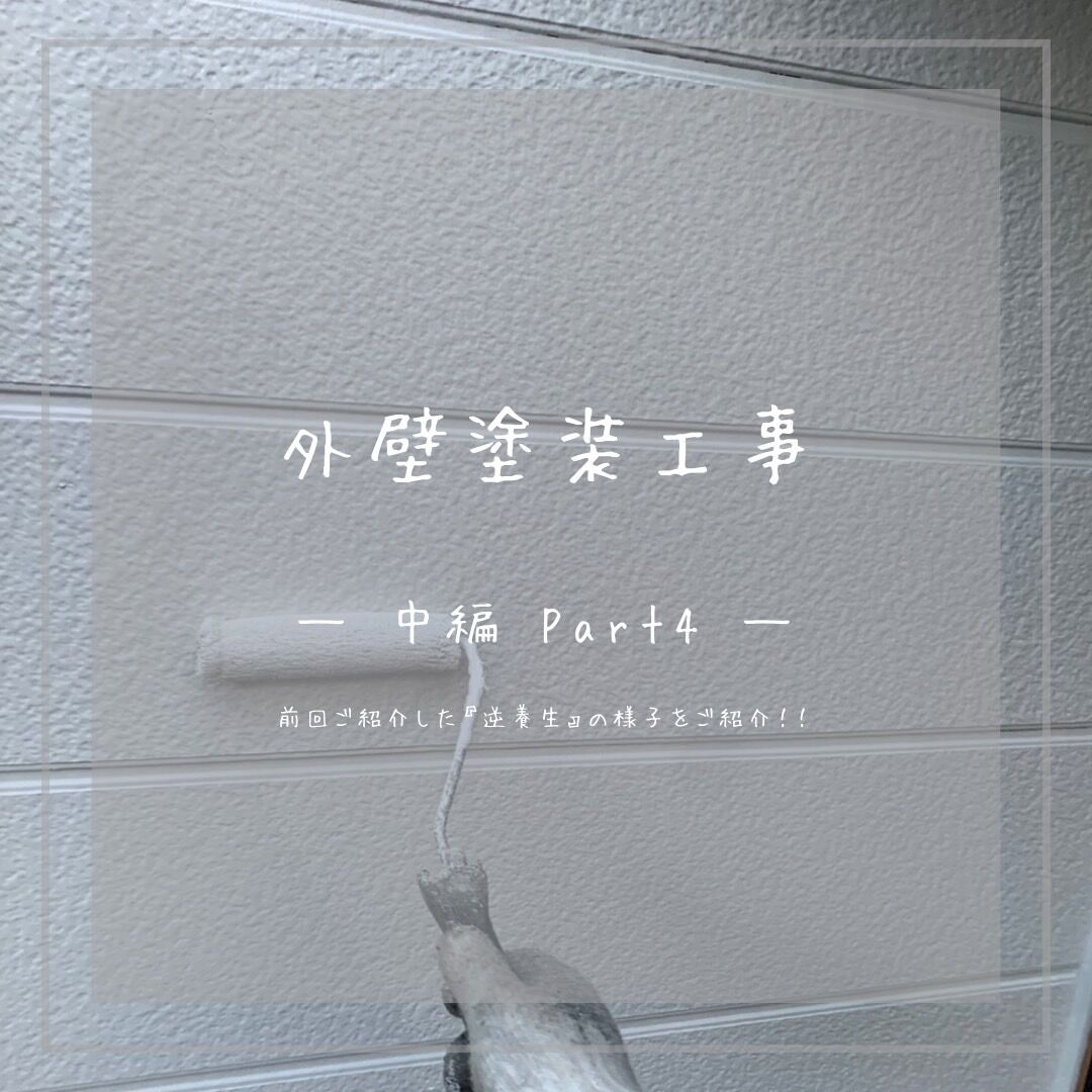 S__4677634_0