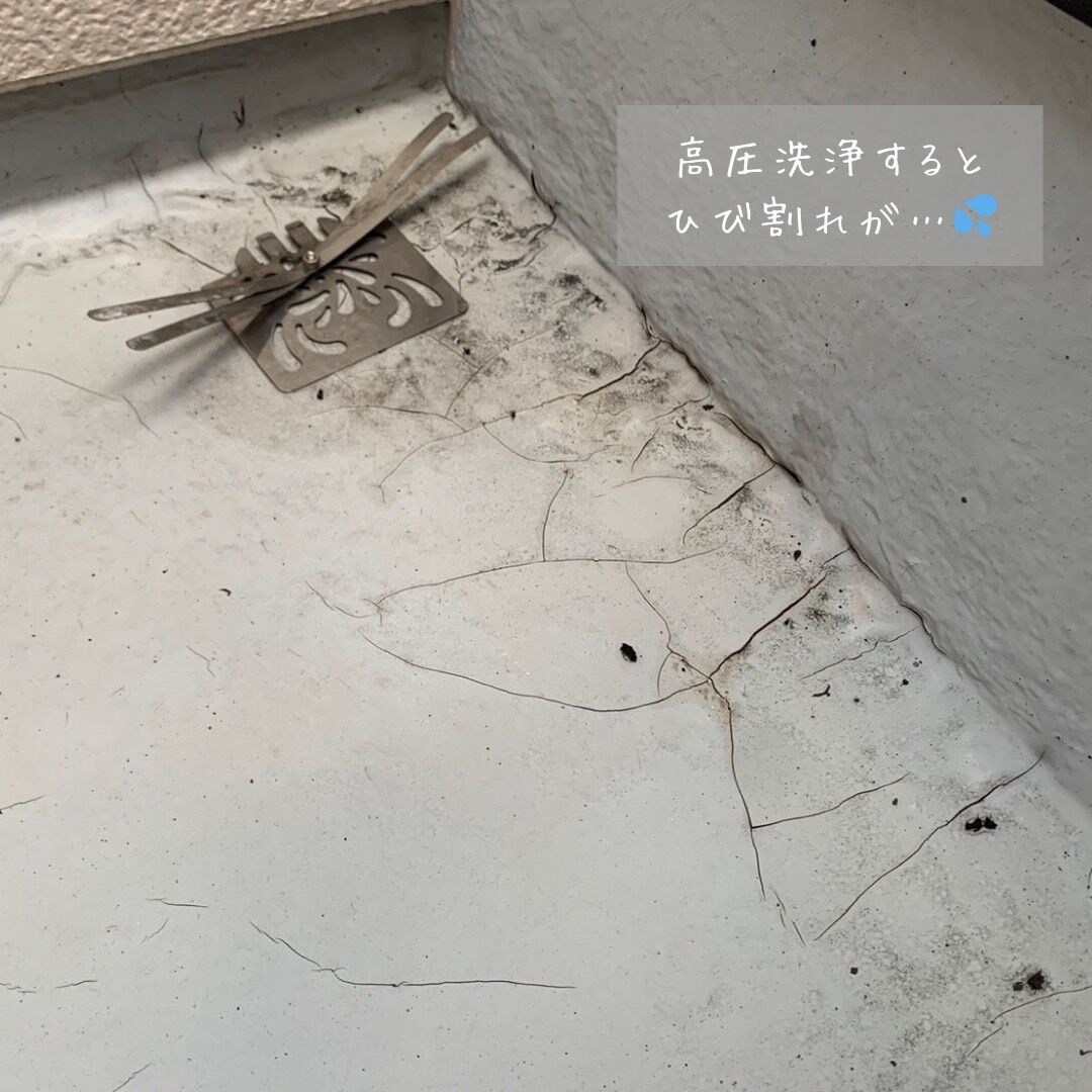 S__4677641_0