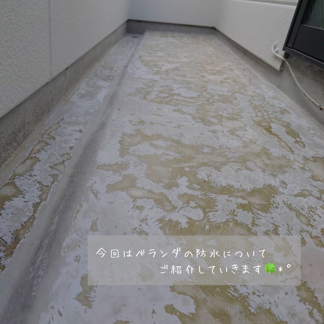 S__4677646_0