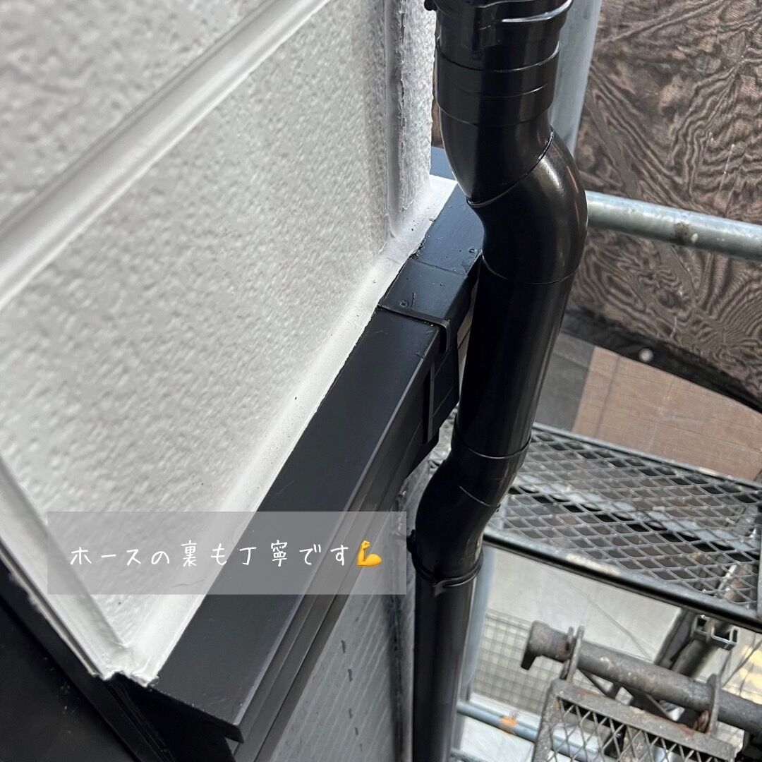 S__4677660_0